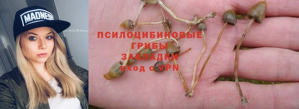 мдпв Абдулино