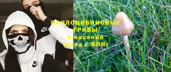 тгк Абинск
