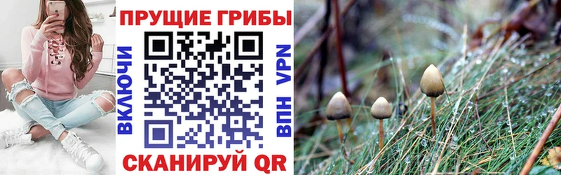 Галлюциногенные грибы ЛСД  где купить наркотик  Балаково 