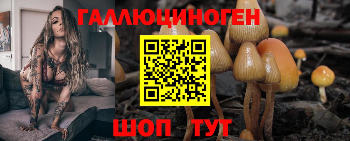 где купить наркотик  Вход с VPN  Балаково  Галлюциногенные грибы прущие грибы 